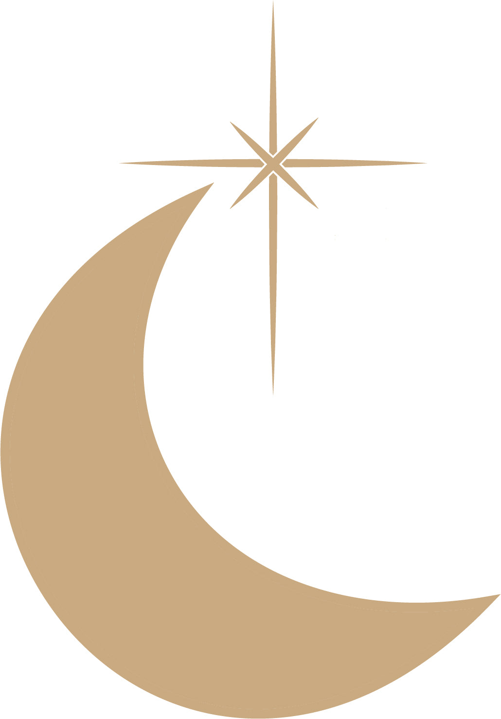 Teddy's Birth Chart & Life Path Number